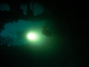 imag1428.jpg