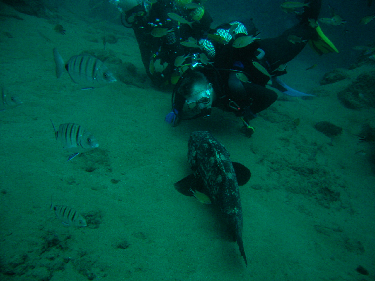 imag0144.jpg